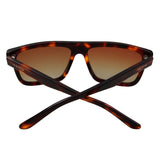 HPC Gloss Tortoise